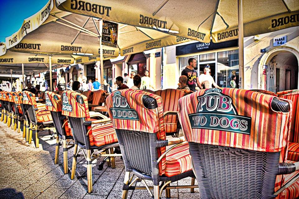 Dva psa - Two dogs 3